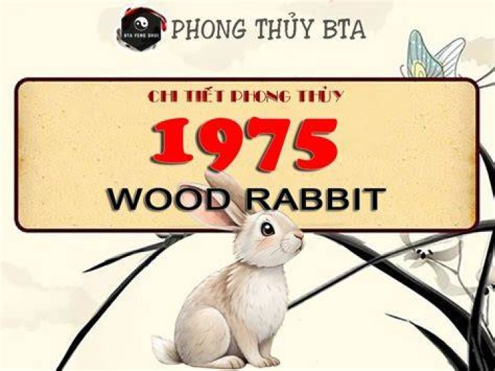 1974 Chinese Zodiac Discover Your Year of the Wood Rabbit