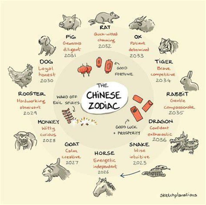 1974 Year of the Chinese Zodiac: Discover Your Zodiac Animal and Its Influence