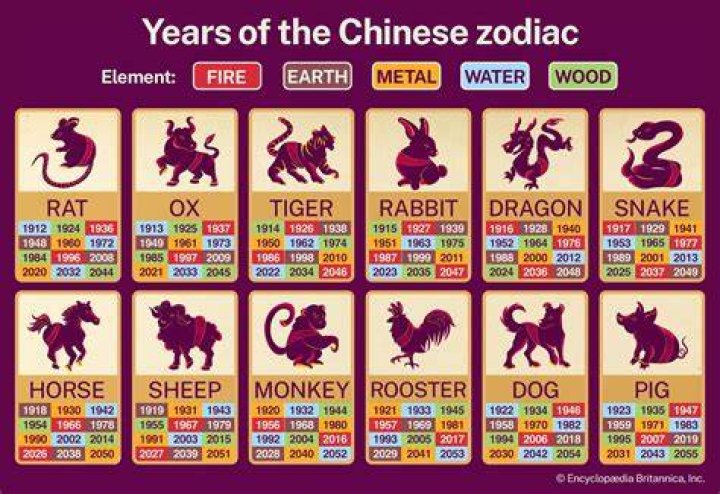 1989 Year of the Chinese Zodiac: Discover Your Lucky Year and Traits!