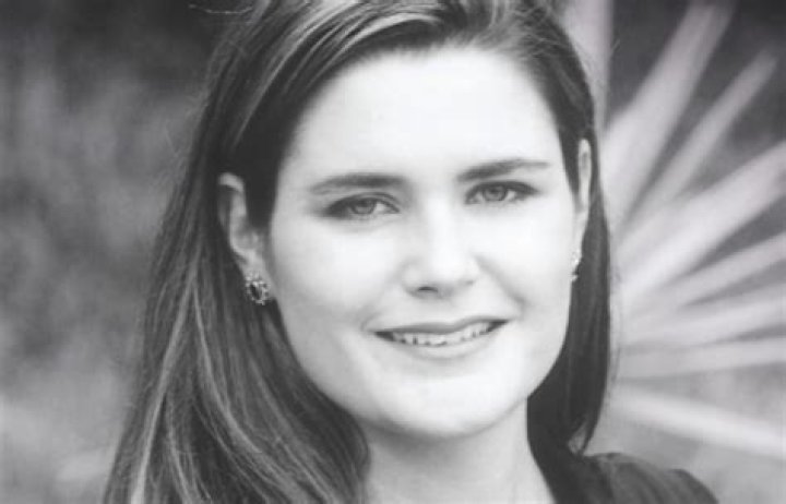 Alison Botha What Happened? Exploring the Journey of a Leading Online Learning Platform