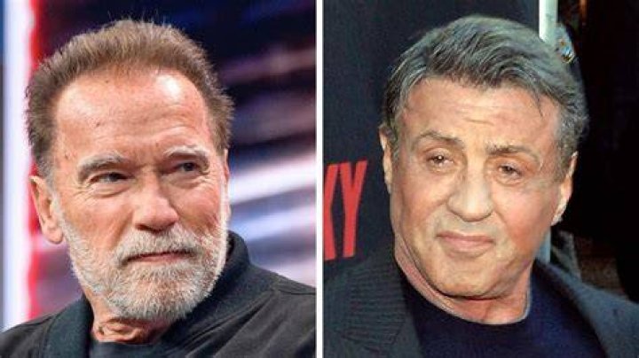 Arnold Schwarzenegger Blue Salt Trick: The Secret to Building an Unstoppable Legacy