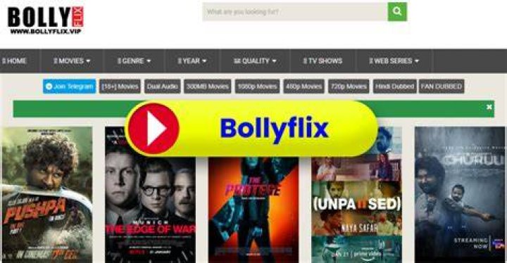 BollyFlix in Hindi: Your Ultimate Guide to Bollywood Streaming Bliss