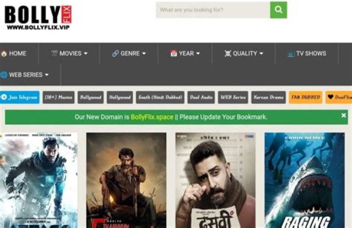 BollyFlix.pet: Your Ultimate Destination for Bollywood Entertainment