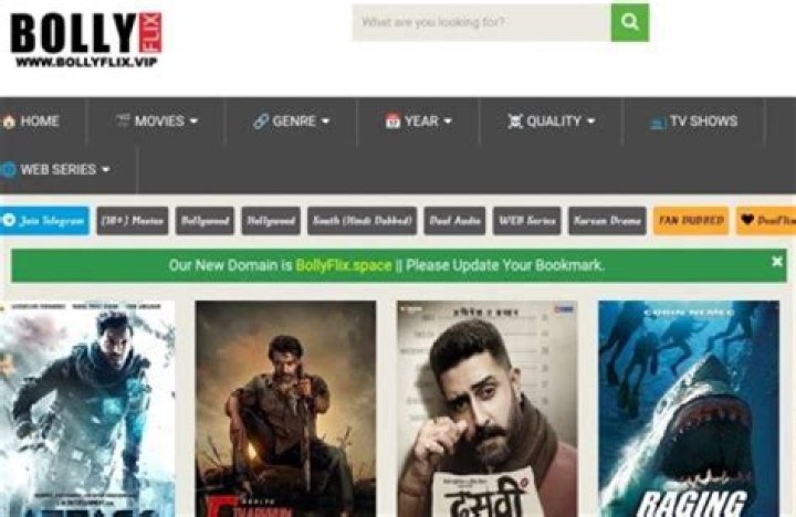 Bollyflix.too: Your Guide to Finding Answers and Connecting with Tech Insights Today