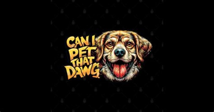 Can I Pet That Dawg? Your Guide to Safe & Happy Dog Greetings
