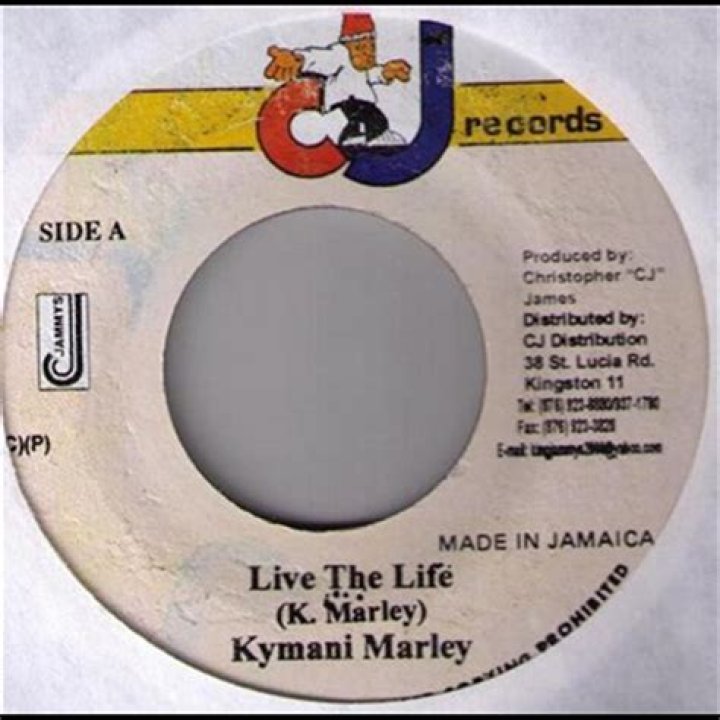 Check Out Kymani Marley's Massive Net Worth: The Untold Story of a Music Dynasty