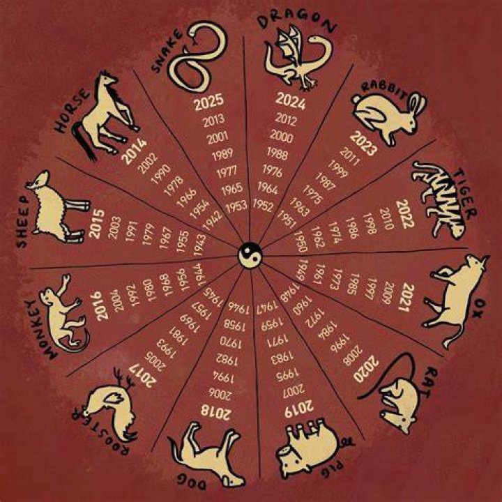 Chinese Astrology 1989: Your Zodiac Journey Unveiled