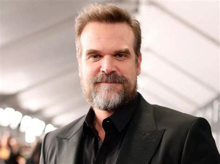 David Harbour: The Charismatic Actor Redefining Hollywood's Hero