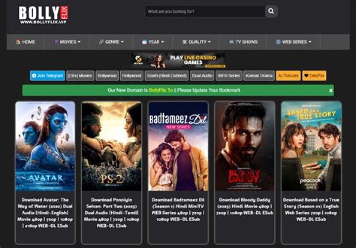 Discover the Bollyflix Website: Your Go-To Spot for Indian Cinema Updates