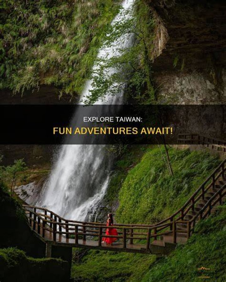 Discovering Roman and Sharon: Your Go-To for Fun and Taiwan Adventures