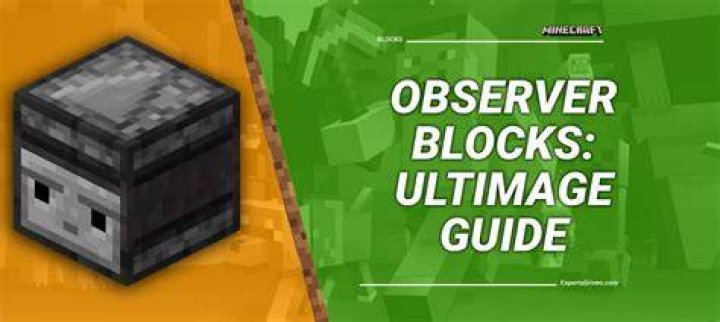 Everything You Need to Know About HD Hub Observer: A Comprehensive Guide