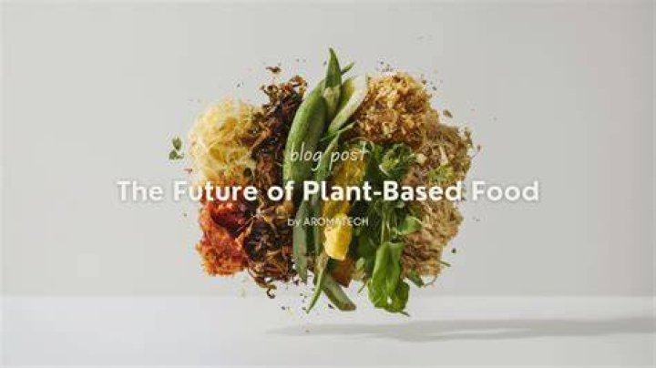 Everything You Need to Know About Vegamovis: The Future of Plant-Based Food