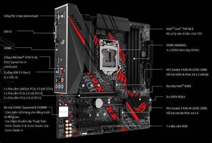 Exploring ROG: A Comprehensive Guide for Enthusiasts