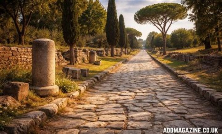 Exploring the Enduring Connection: The Roman and Sharon Couple Experience