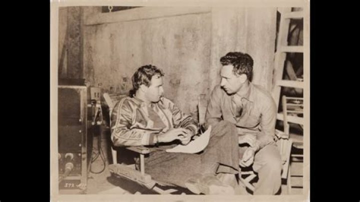 Exploring the Enigma: A Look into the **Tennessee Brando Biography**