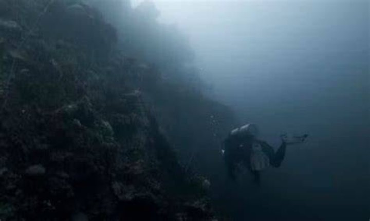 Exploring the Mystique of Kurosoi Fish: A Deep Dive Into Its World