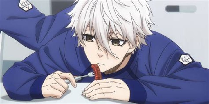 Exploring the World of Nagi: Blue Lock, Culinary Arts, and the Nagi Hikaru AV Search