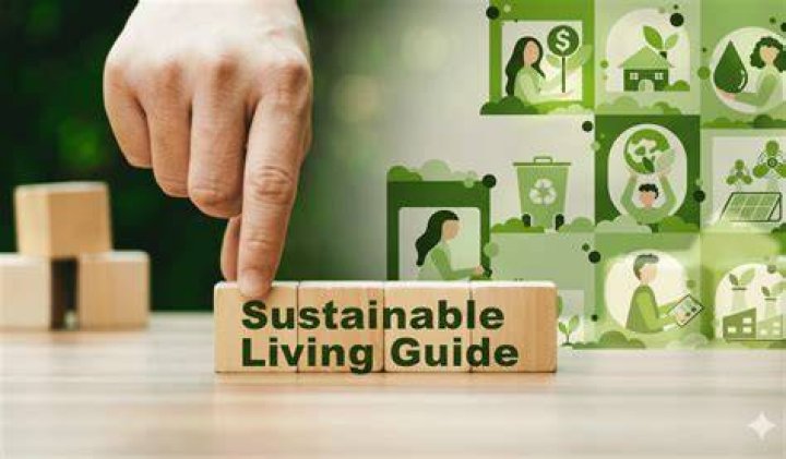 Exploring Vegamove: The Ultimate Guide to Sustainable Mobility