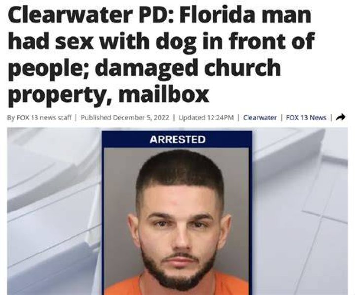 Florida Man November 16: The wildest stories that keep everyone talking