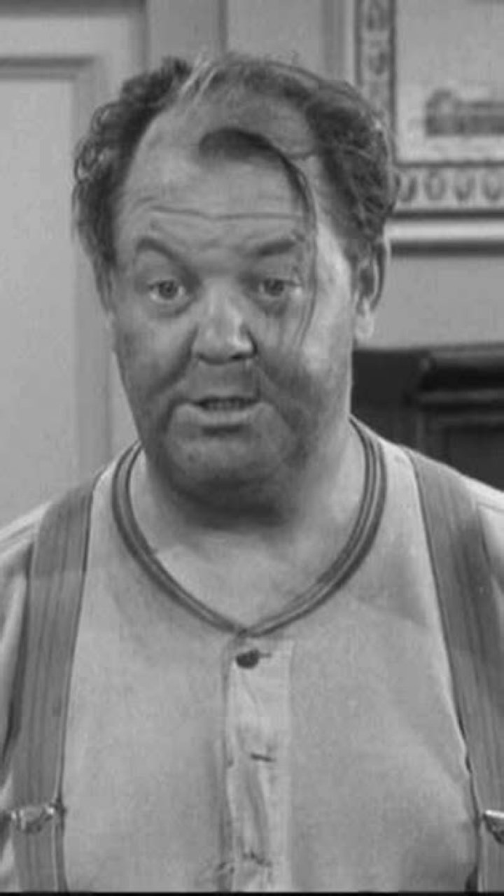 Hal Smith Net Worth: Unveiling the Wealth Behind the Iconic Actor