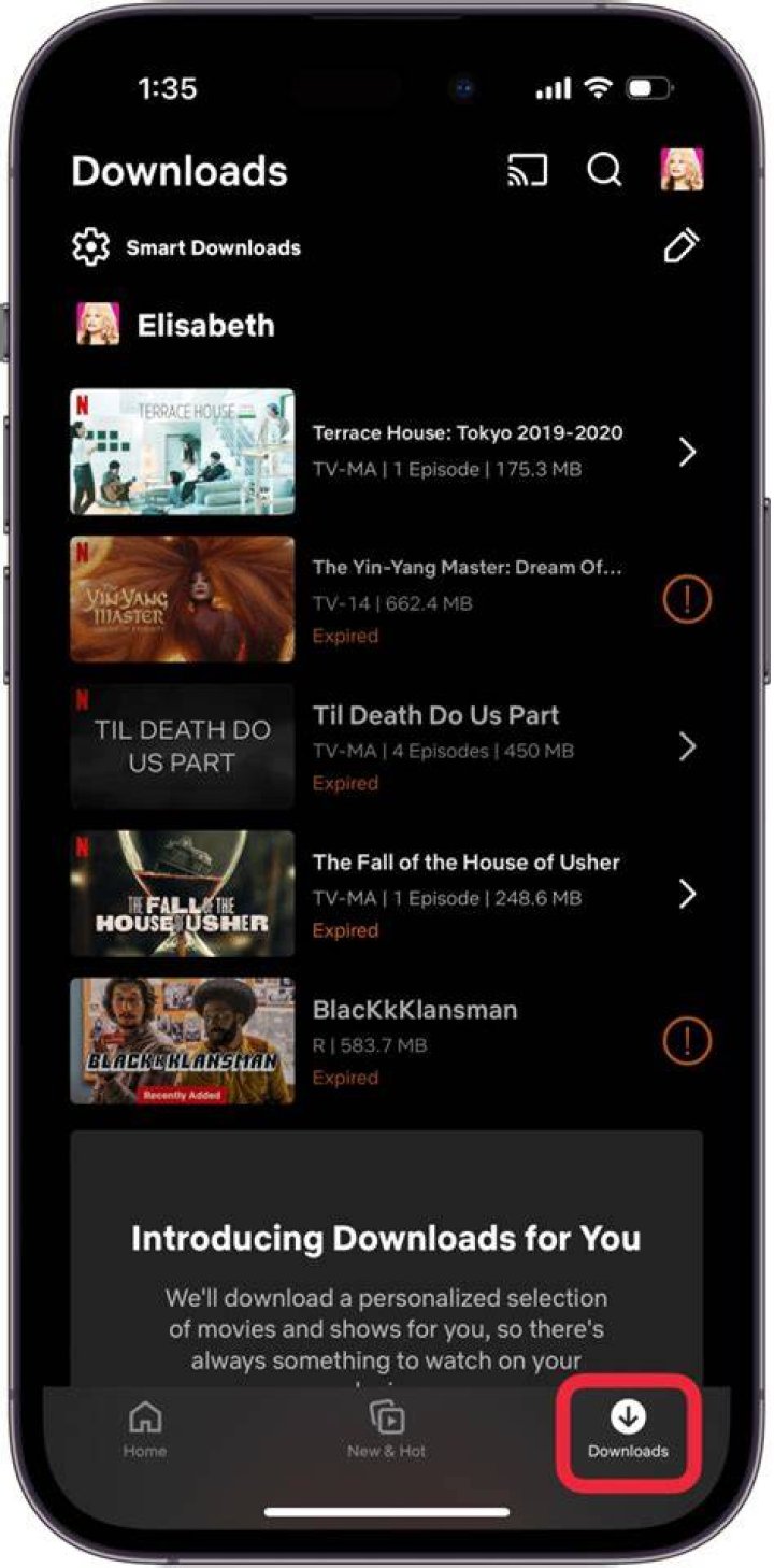 HDHubIn: Your Ultimate Guide to Streaming and Downloading