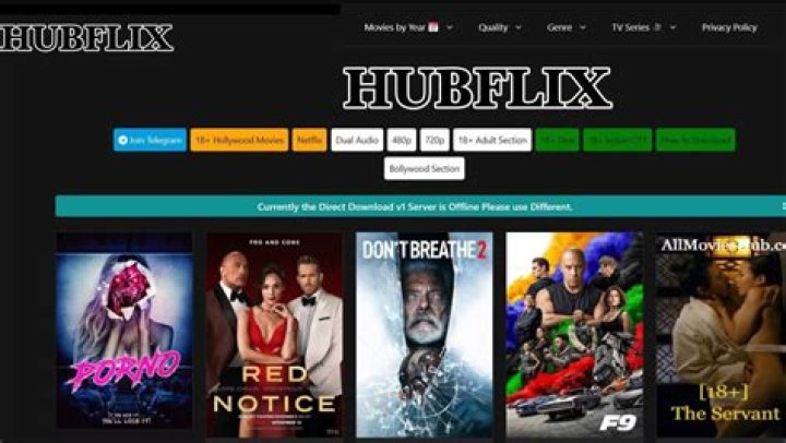 HubFlix HDHub: Your Ultimate Guide to Streaming