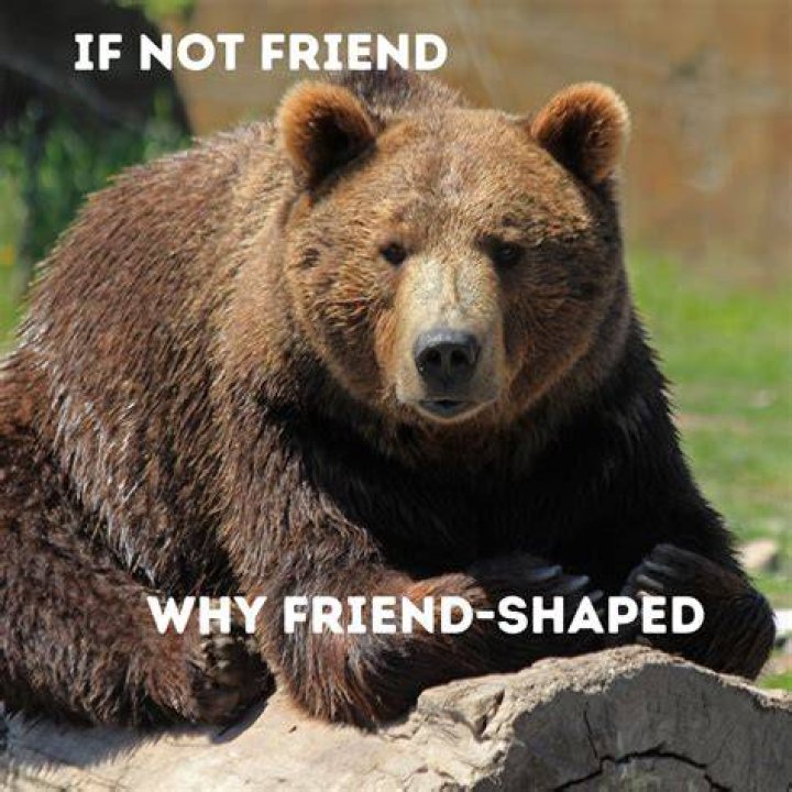 If Not Friend, Why Friend-Shaped Origin? Unveiling the Mystery