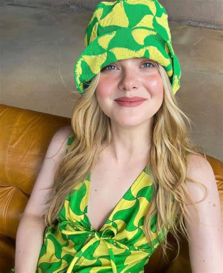 In Addition to Her Live-Action Roles, Elle Has Lended Her Voice to Animated Characters