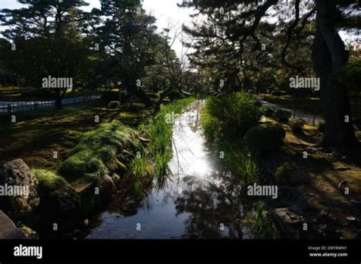 Ivory Hills Japan Wo: Unveiling the Hidden Gem of Serenity and Beauty