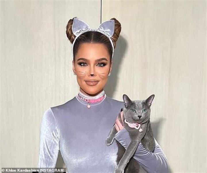 Khloe Kardashian Cat: The Purr-fect Feline Fashionista