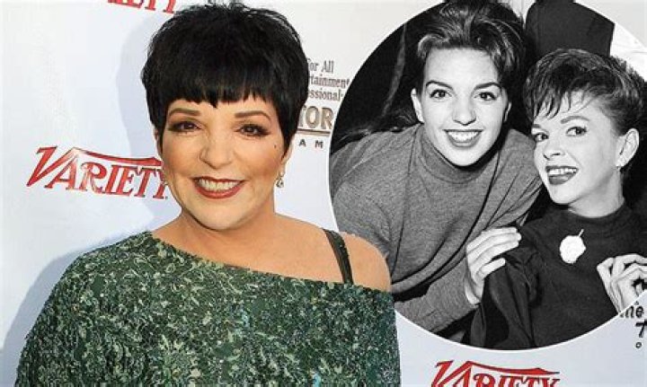 Liza Minnelli Children: A Closer Look at the Life and Legacy
