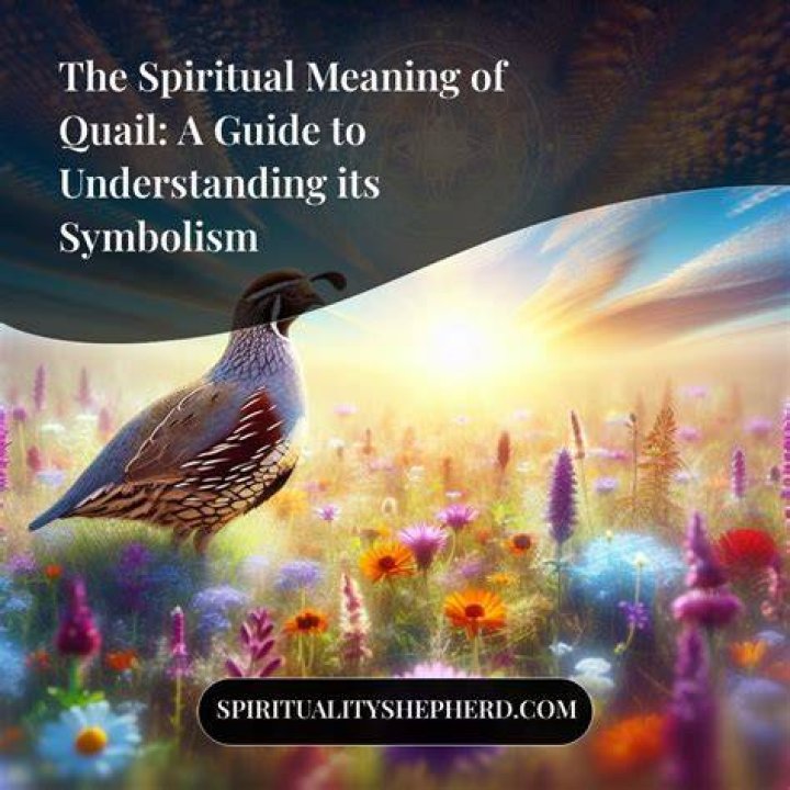 Maal 49: The Ultimate Guide to Understanding Its Meaning and Significance
