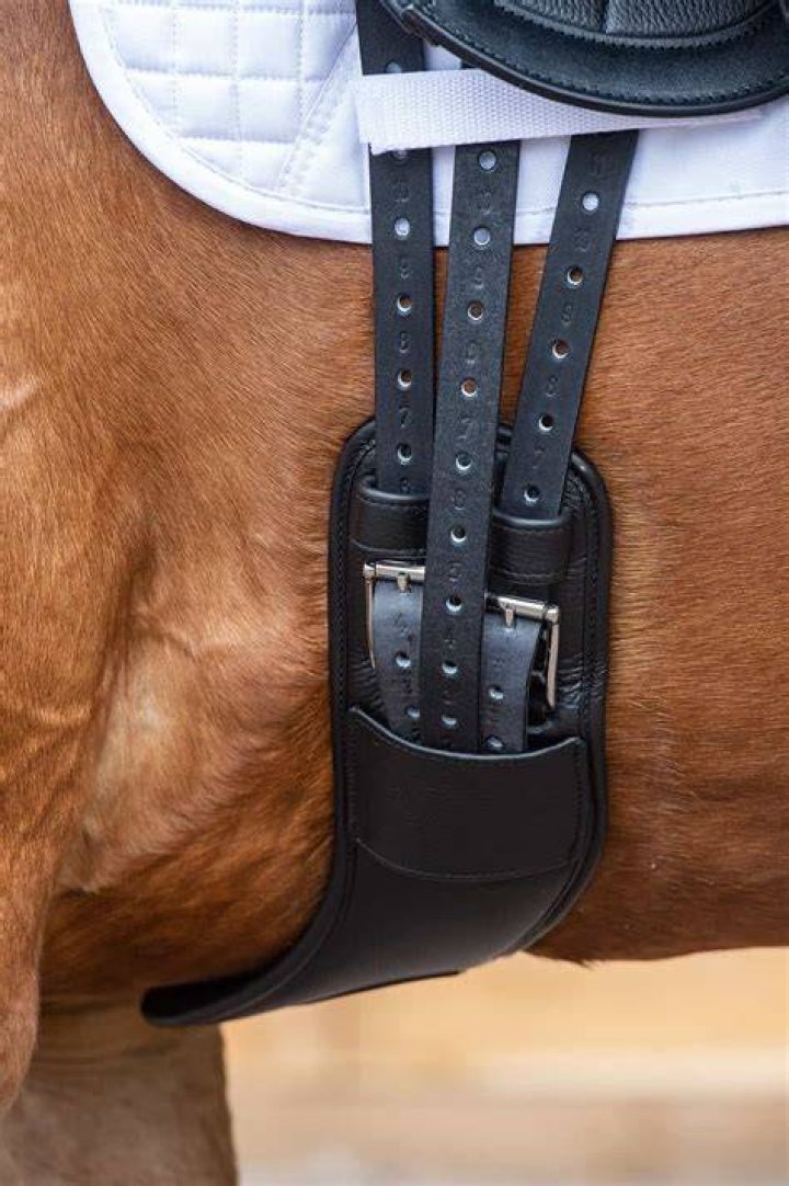 Miaz Girth Master: Unleashing the Power of Strength and Agility
