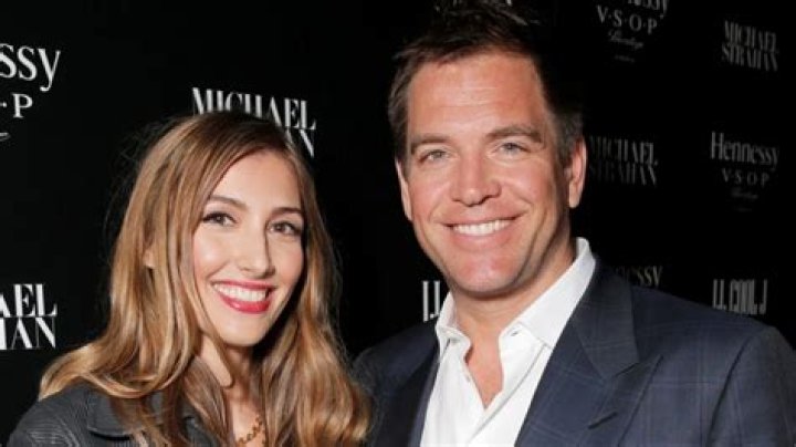 Michael Weatherly Wife: The Love Story Behind the Silver Screen