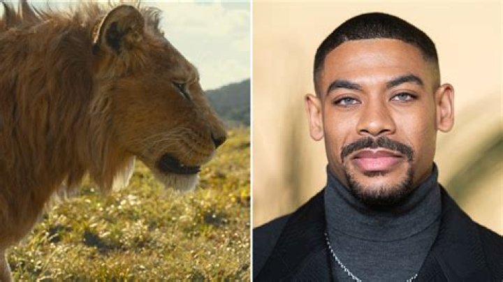 Mufasa Voice Actor