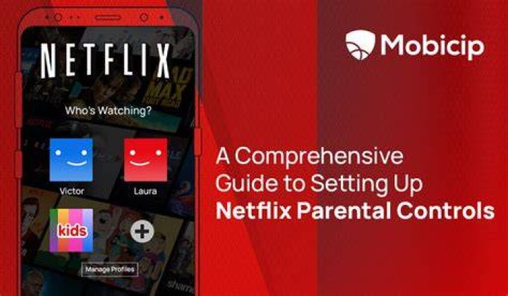 Netflix: A Comprehensive Guide to Nthemed on Netflix