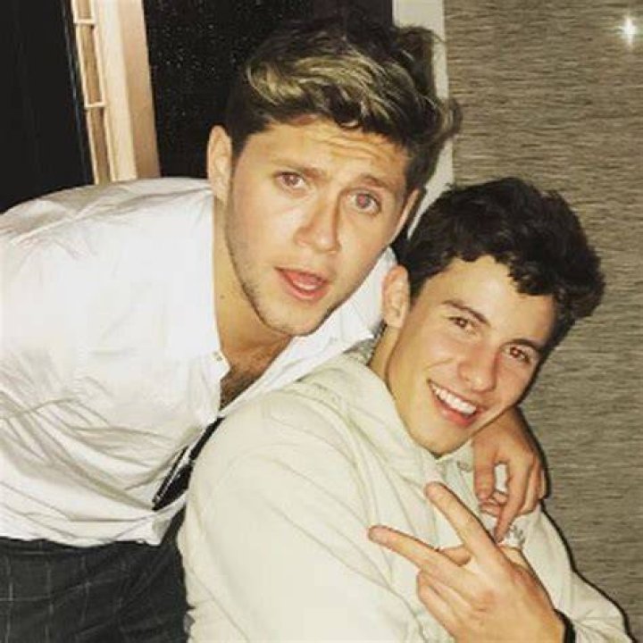 Niall Horan and Shawn Mendes: The Ultimate Guide to Their Bromance