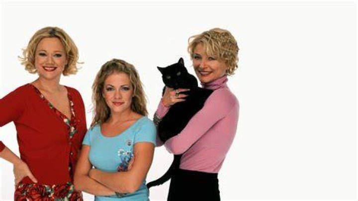 Sabrina the Teenage Witch Cast: A Deep Dive Into the Enchanted Ensemble