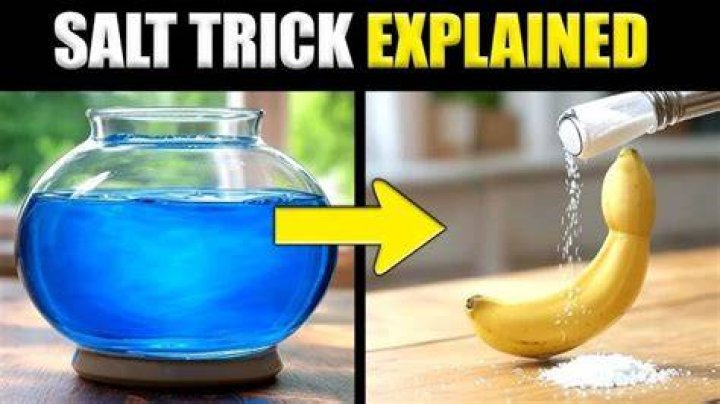 Salt Trick to Increase Penis Size: The Truth Behind the Hype