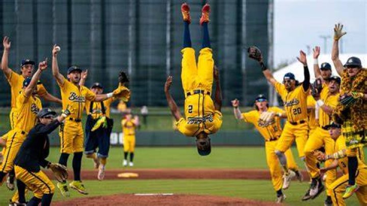 Savannah Bananas: The Sweet Revolution in Baseball