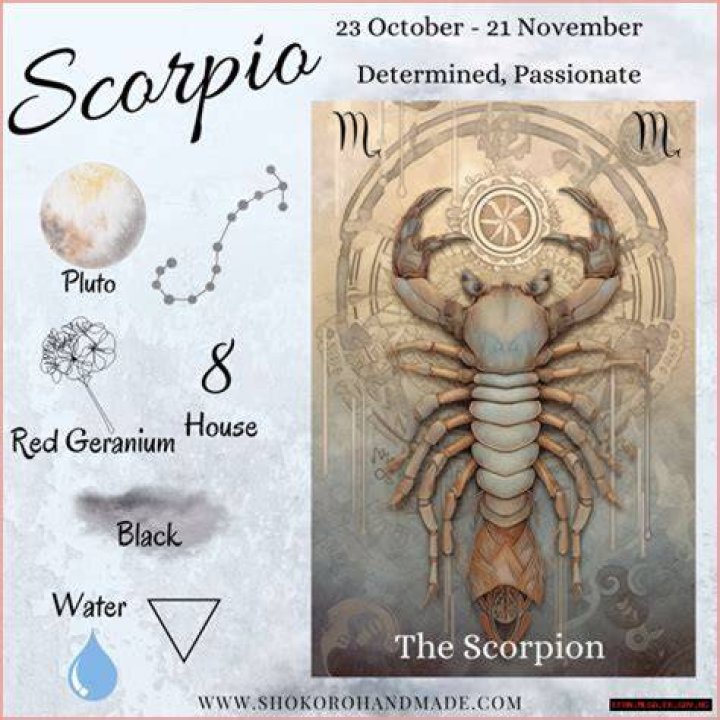 Scorpio Birthdates: A Deep Dive Into the Traits, Compatibility, and Mystique of Scorpio