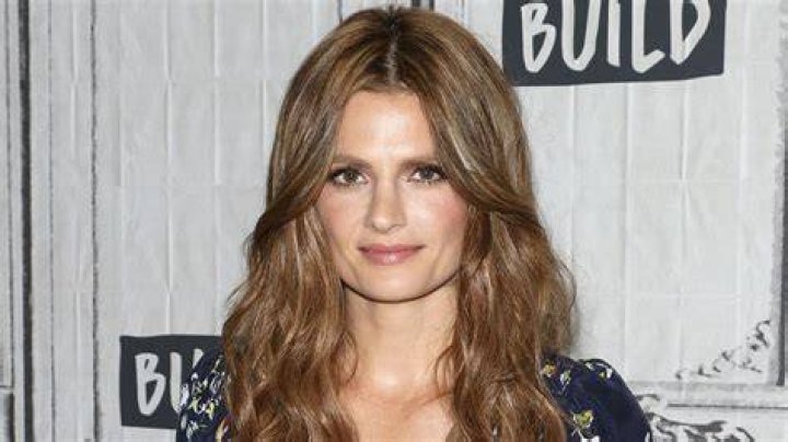 Stana Katic: The Rising Star Who Captured Hollywood's Heart