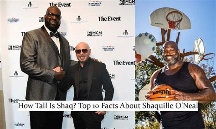 Stand Tall: Uncovering Shaq's Towering Height