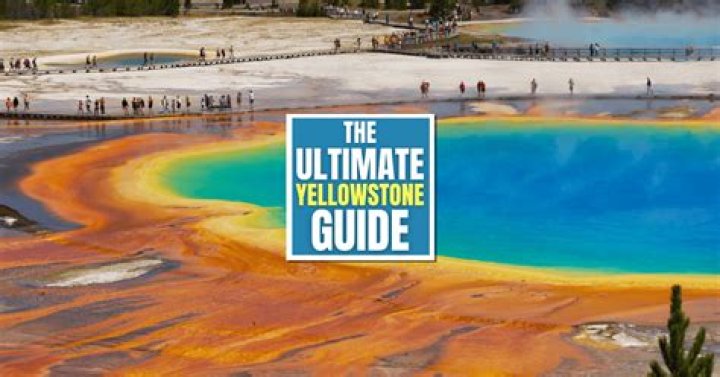 Teeter Yellowstone: The Ultimate Guide to Exploring and Understanding
