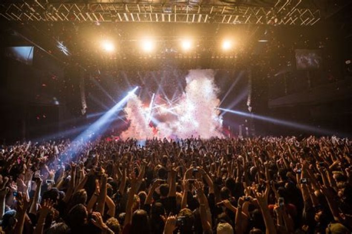 The Bellas: Unveiling the Phenomenon in Music and Entertainment