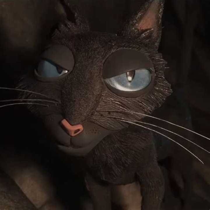 The Enigmatic Feline: Getting to Know the Cat from Coraline