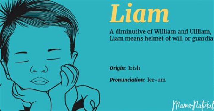 The Resolute Spirit: Discovering What the Name Liam Means for 'Liam Flockhart'