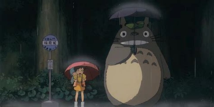 Totoro's Magical Voice: Her Ability to Infuse Life into Animated Characters