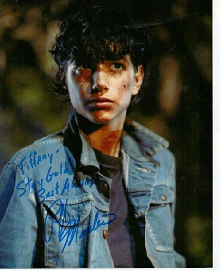 Uncovering How Old is Ralph Macchio in The Outsiders: The Truth About Johnny Cade's Age