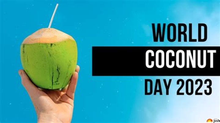 Uncovering the World of Coconut Kitty: What You Need to Know in 2024